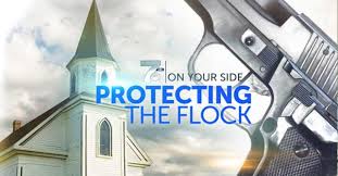 BASureShot LLC Paint Removal